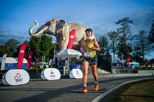 BIB: 
                            <button type="button" onclick="openModal(26541658)" class="btn btn-primary btn-sm float-right btn-popup" data-toggle="modal" data-target=".modal-high-quality">
                        <i class="fas fa-shopping-cart"></i> Add to Cart
                    </button>
                                            <button type="button" onclick="isThisMe(26541658, true)" class="btn btn-success btn-sm float-right btn-popup btn-isme hidden" data-toggle="tooltip" data-placement="bottom" title="นี่คือรูปของคุณใช่ไหม คลิกที่นี่เพื่อเอาเข้าอัลบั้ม">
                        <i class="fas fa-plus"></i> Add to album
                    </button>
                    <button type="button" onclick="isThisMe(26541658, false)" class="btn btn-warning btn-sm float-right btn-popup btn-isnotme hidden">
                        <i class="fas fa-ban"></i> Remove from album
                    </button>